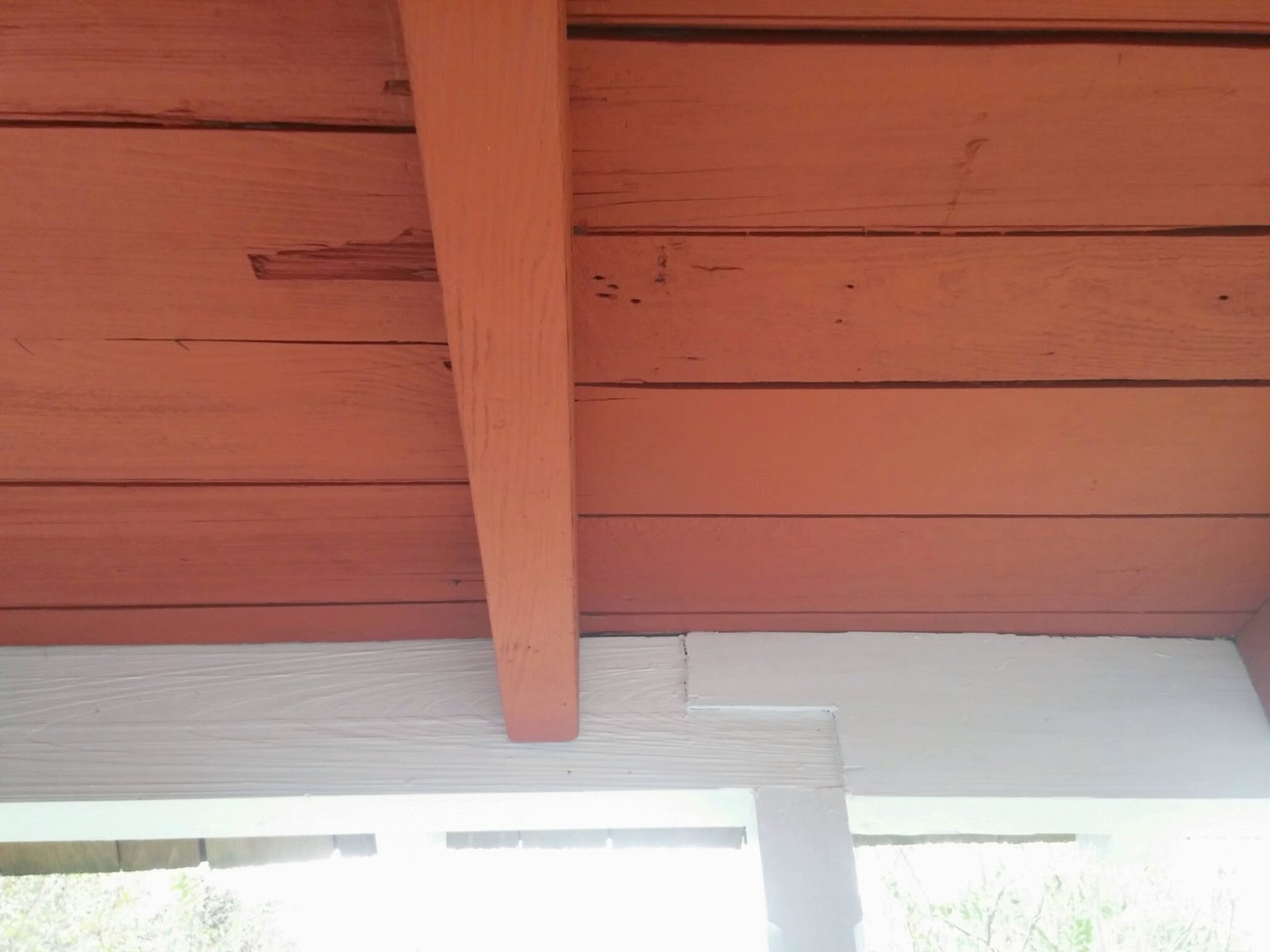 A painted eave with exposed rafters